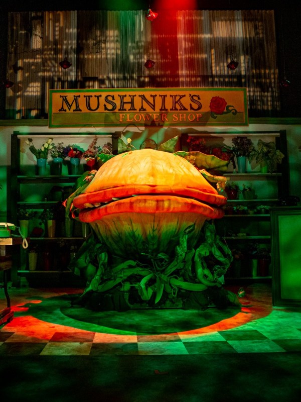 Little Shop of Horrors&nbsp;(2019)
